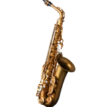 Eastman EAS852 Alto Sax 52nd St. Aged Unlacquered Brass Finish w/ 2 Necks