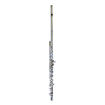 Eastman Musical  Eastman EFL210 Student Flute