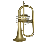 B & S Markneuk  B&S 31482E Flugelhorn Challenger II, Elaboration Brushed Finish