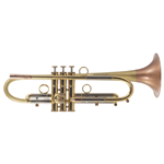 Taylor PIRANHA Trumpet Brushed Yellow Brass Bell w/ Polished Gold Lacquer