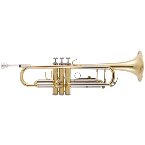 Bach BTR302 Student Trumpet