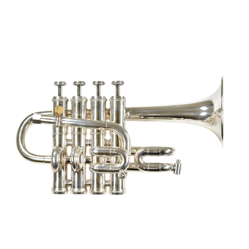 Getzen Eterna Piccolo Trumpet
ISS3045