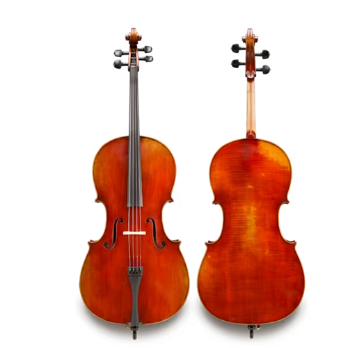 Eastman VC605SBC44 Andreas Eastman 4/4 Cello Outfit