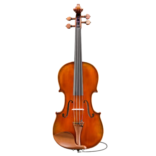 Eastman VL405SBC44+ Andreas Eastman 4/4 Electric Violin Outfit