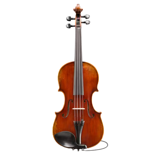 Eastman VL701SBC44+ Rudoulf Doetsch 4/4 Electric Violin Outfit