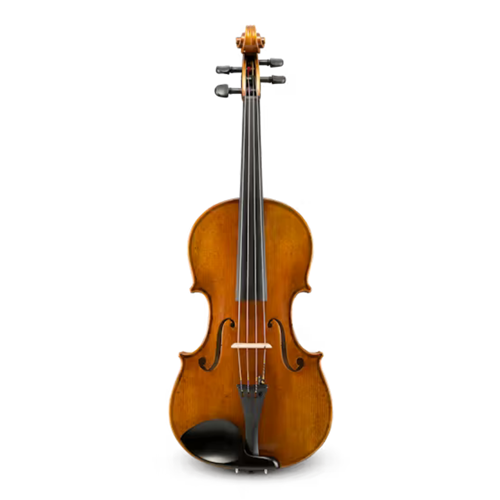 Eastman VA60116SBC Albert Nebel 16" Viola Outfit