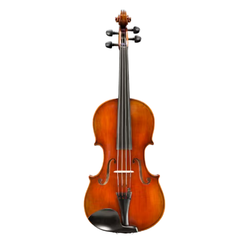 Eastman VA701SBC16 Rudoulf Doetsch 16" Viola Outfit