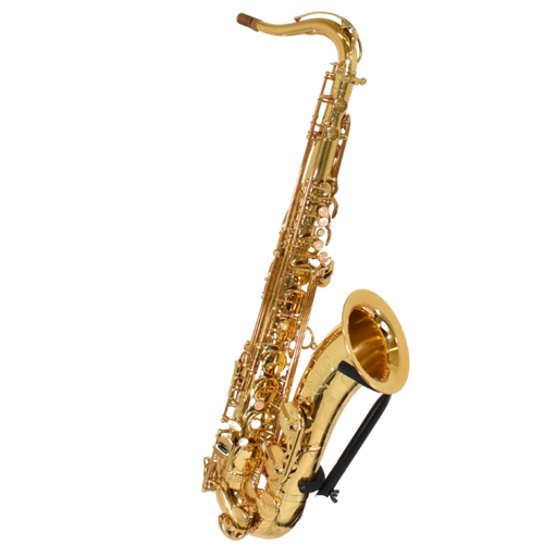Tim's Band and Orchestra - ISS2733 Selmer 2009 Reference 54