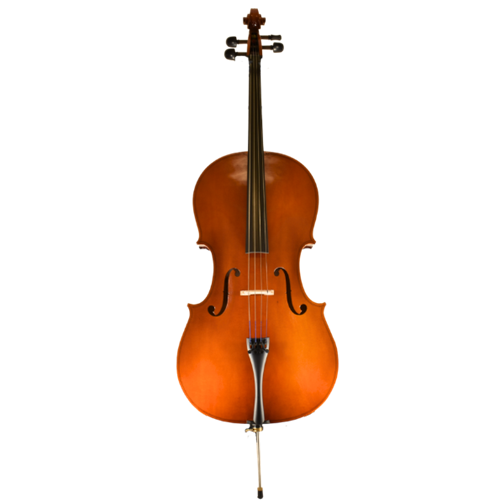 Eastman VC80SBC44 4/4 Student Cello Outfit