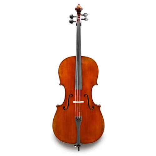 Eastman VC601GSBC44 Albert Nebel 4/4 Cello Outfit