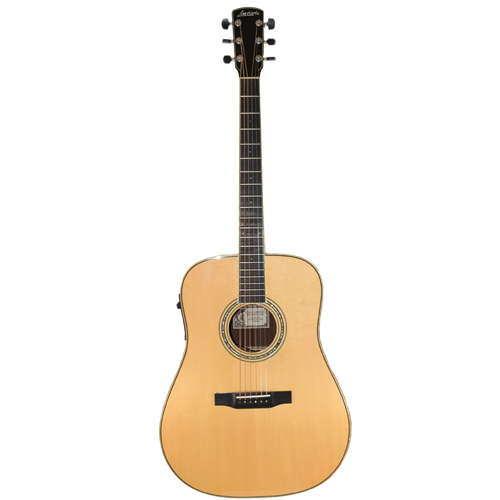 Larrivee L09ARTIST Larivee D-09E Artists Guitar