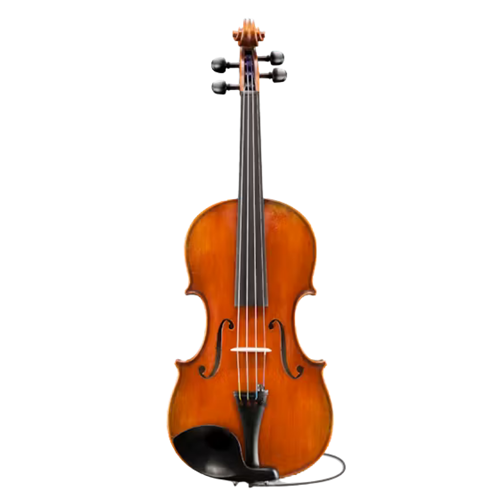 Eastman VL601GSBC+44 Albert Nebel 4/4 Electric Violin Outfit