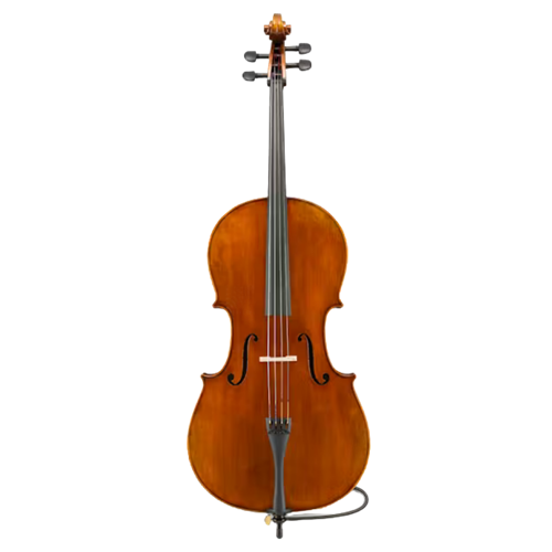 Eastman VC405SBC+44 Andreas Eastman 4/4 Electric Cello Outfit